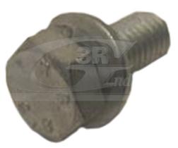 3RG 10006 - TORNILLO POLEA CIGUENAL 8 X 1,25 -