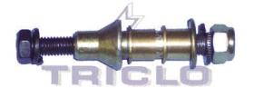 TRICLO 181340 - TORNILLO BISAGRA BERLINGO